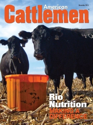 American Cattleman Article