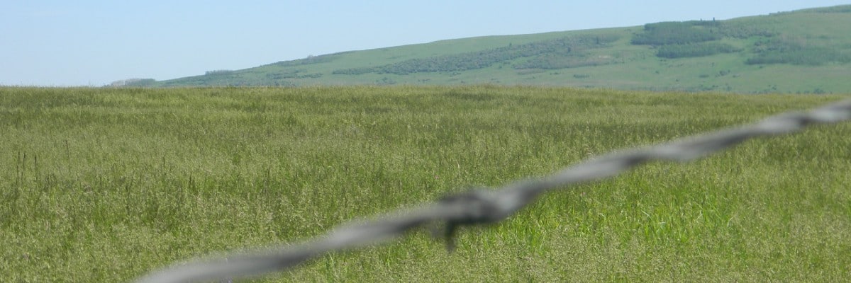 Summer pasture with barbed wire fence close up