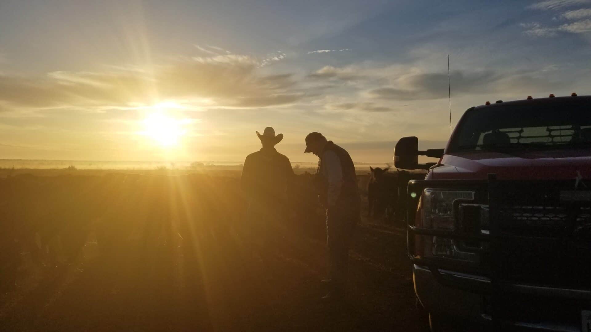 rancher working until sunset