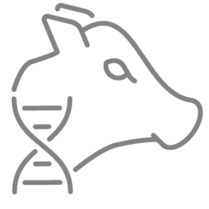Genetic icon Genetic icon