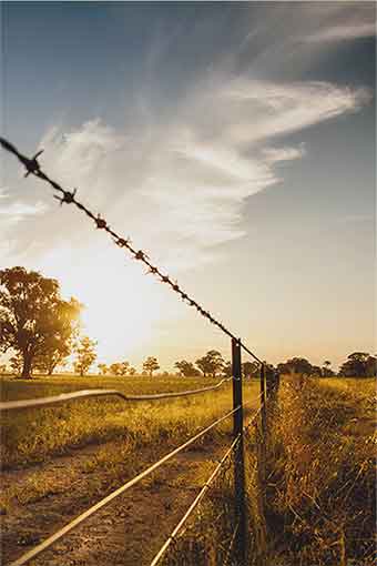 Sunset and Fence