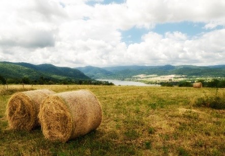 hay with landscape photo