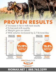 quality cow milk production