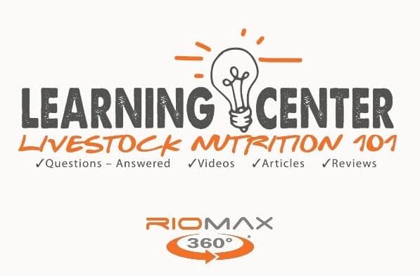 Learning Center_img