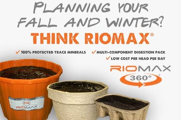 Planning Fall & Winter Social Ad 600x400