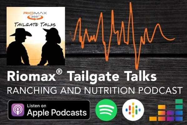 Rop,ax Taiolgate Talks Podcast Social Ad 600x400
