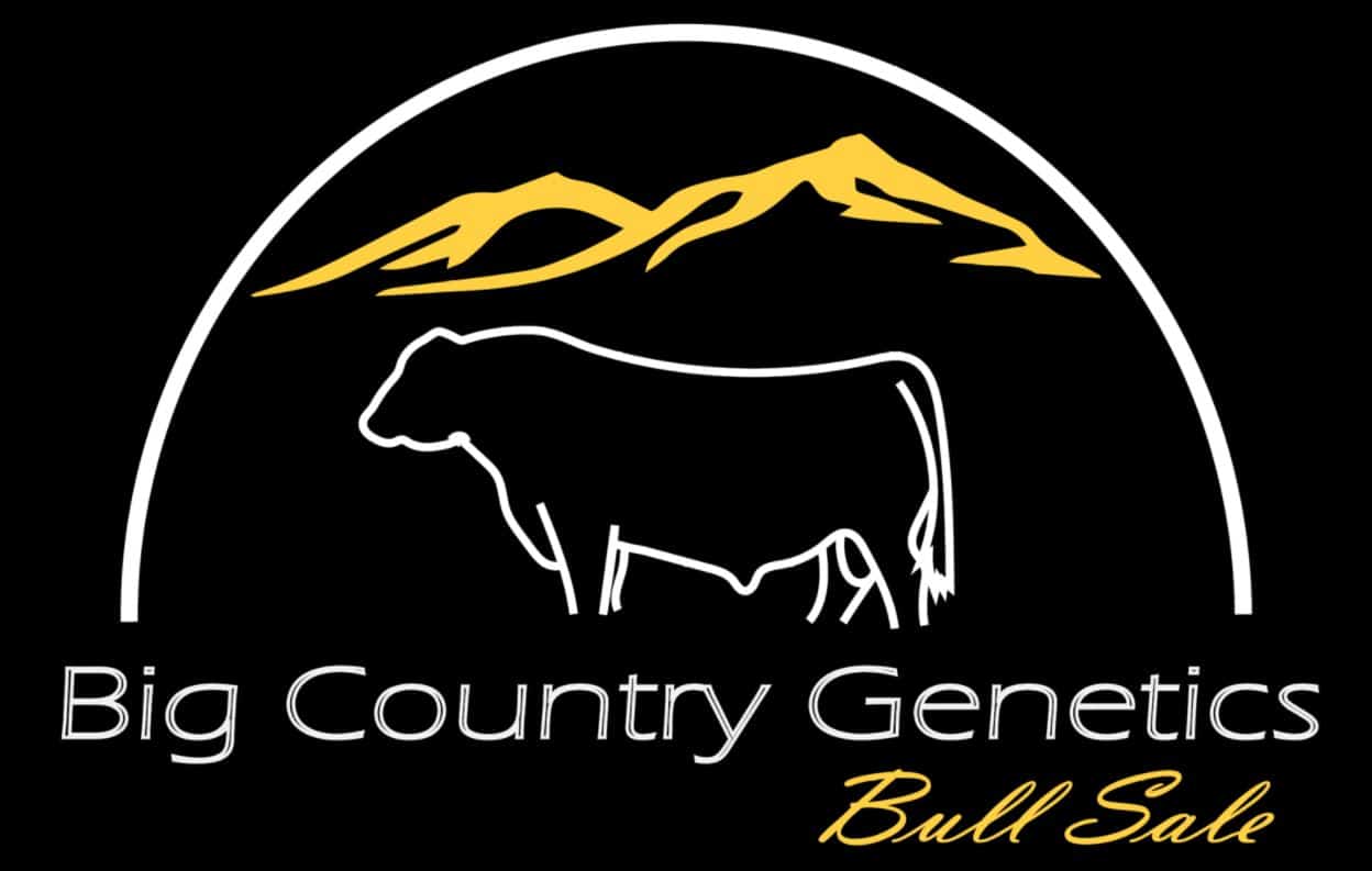 Big Country Genetics Bull Sale Logo