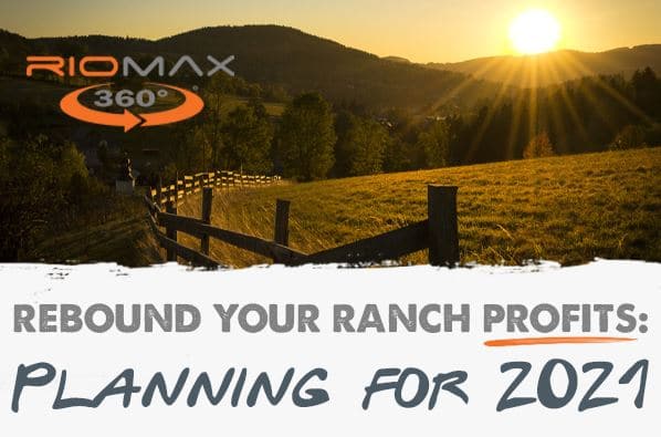 Riomax Planning for 2021