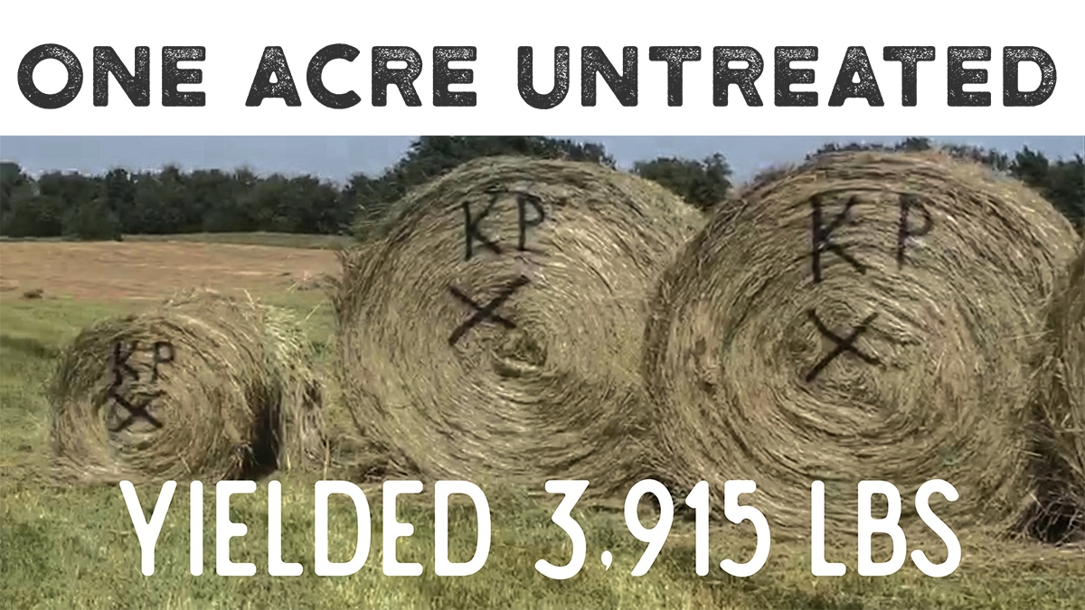 1 Acre Untreated Exp.1 Downsized 1 Acre Untreated