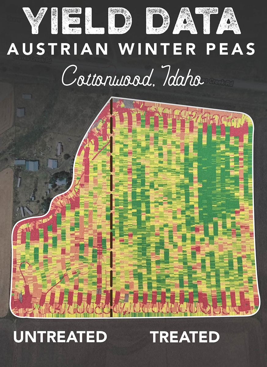 Yield_Map_Exp.1_Downsized Yield_Map