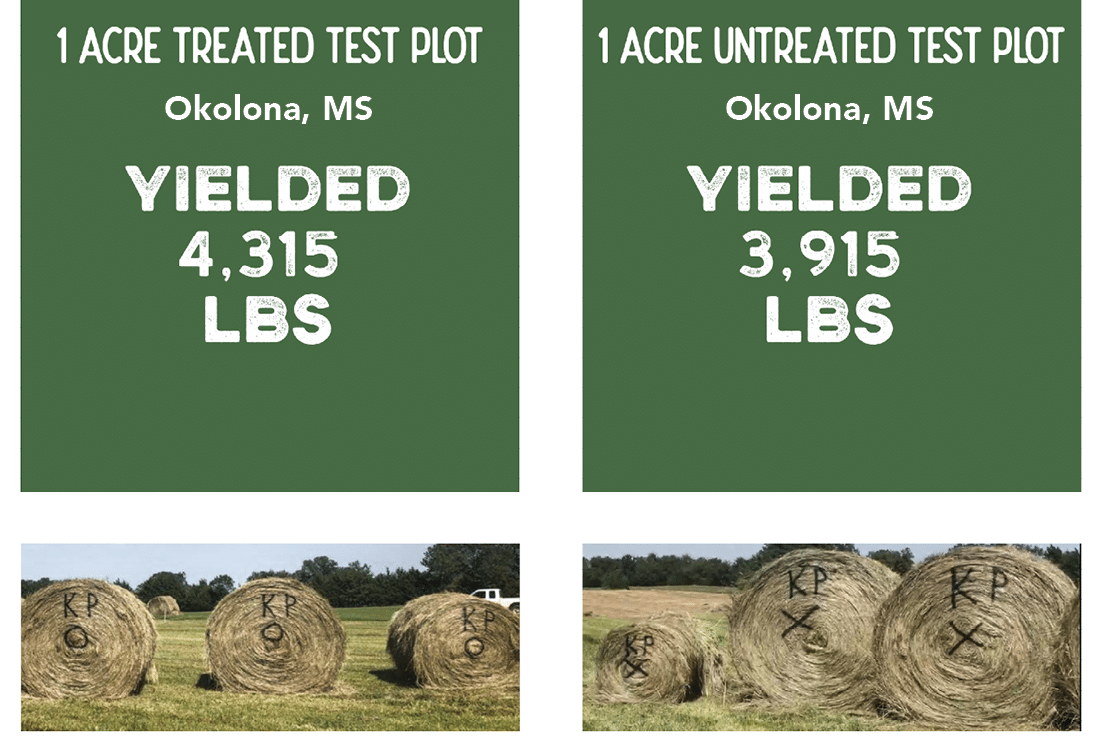 Hay_Yield_Visual Increase hay yield
