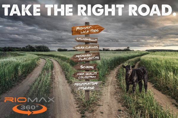 March_Social_Post_Take_The_Right_Road