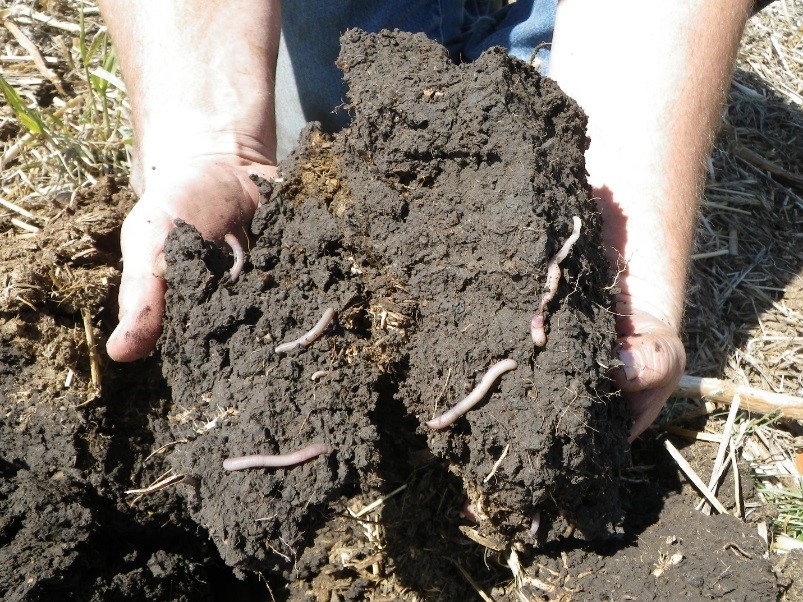 aggregated soil - jay fuhrer