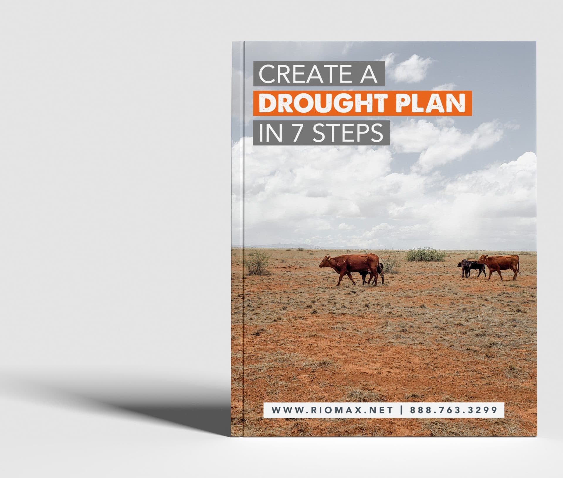 Create_A_Drought_Plan_in_7_Steps_Mockup.CROPPEDjpg