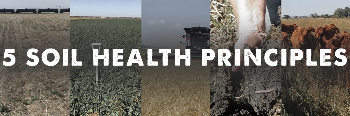 Strong Foundation Soil Health Principles