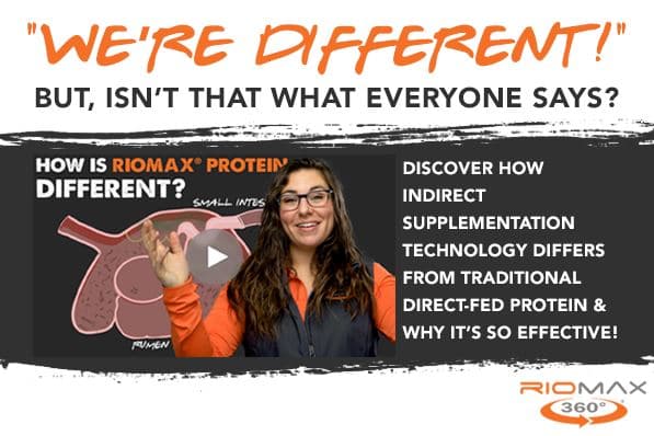 Riomax Protein Different