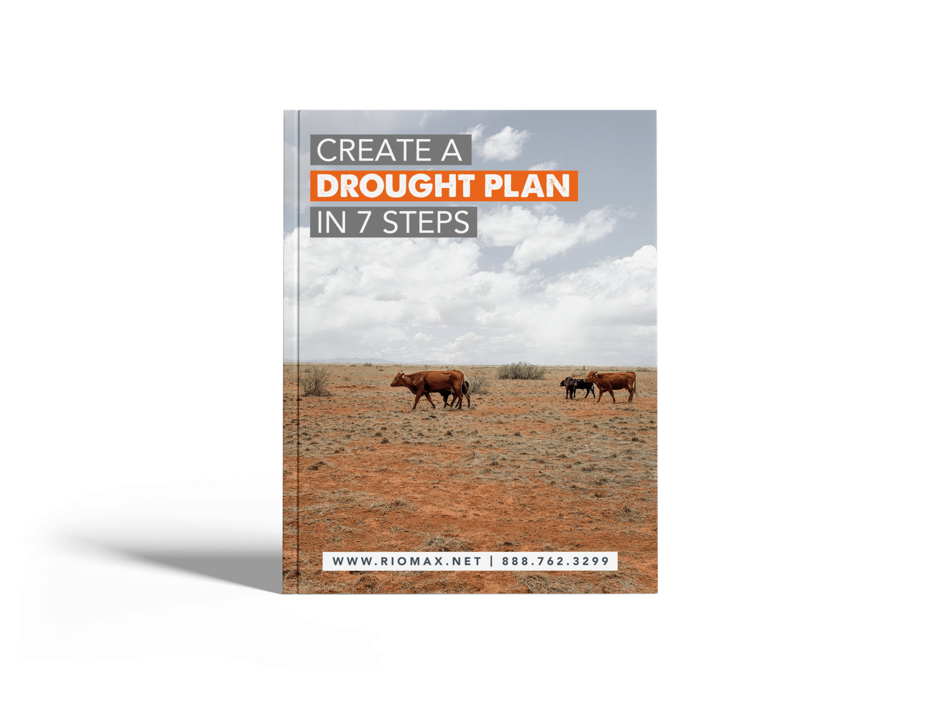 Create_A_Drought_Plan_in_7_Steps_Mockup