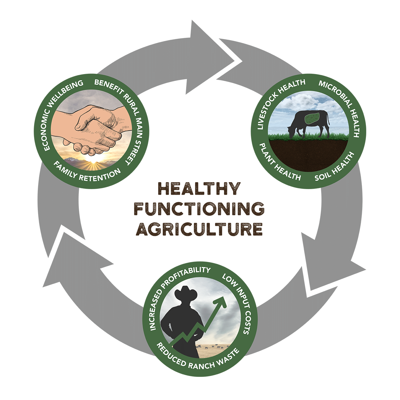 Regenerative_Ranching_Diagram_Exp.4 for Web Regenerative_Ranching_Diagram_Exp.4 for Web