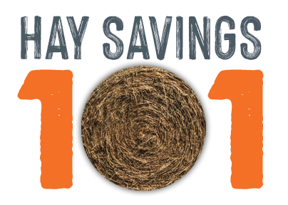 Hay Savings 101
