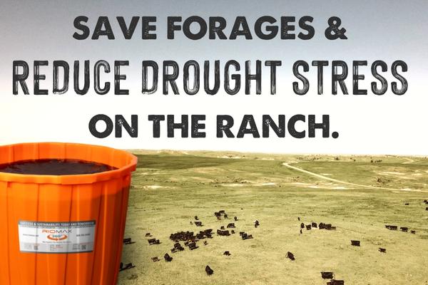 SOCIAL POST Save forages & reduce drought stress