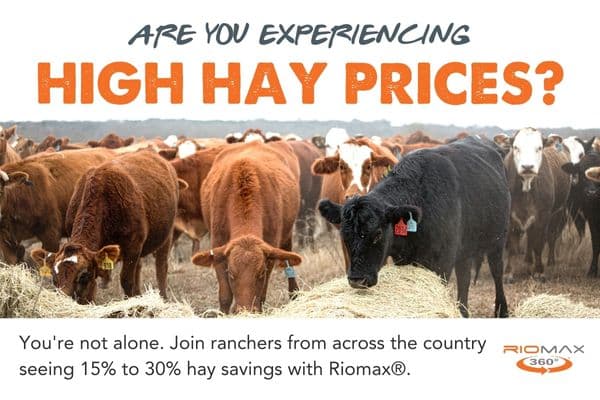 SOCIAL POST High hay prices