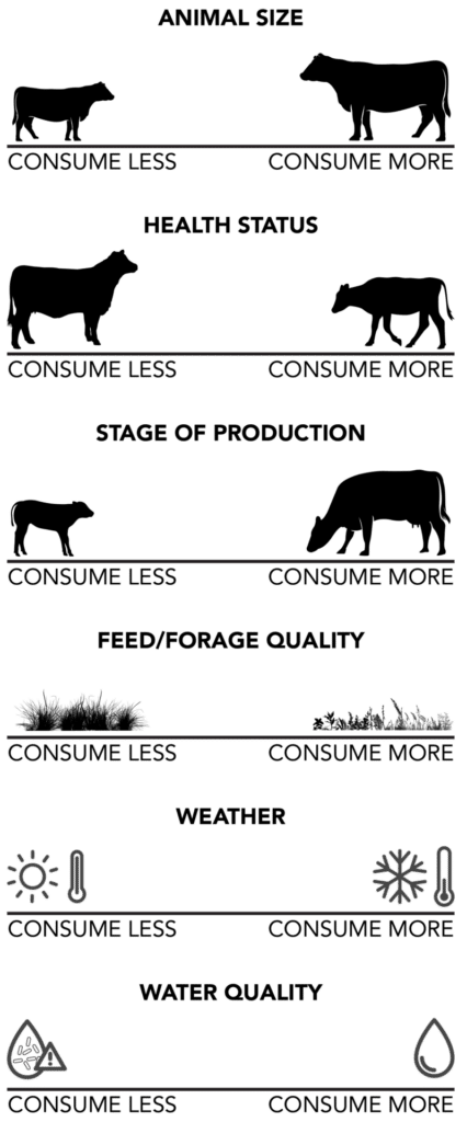 Consumption Factor Scales