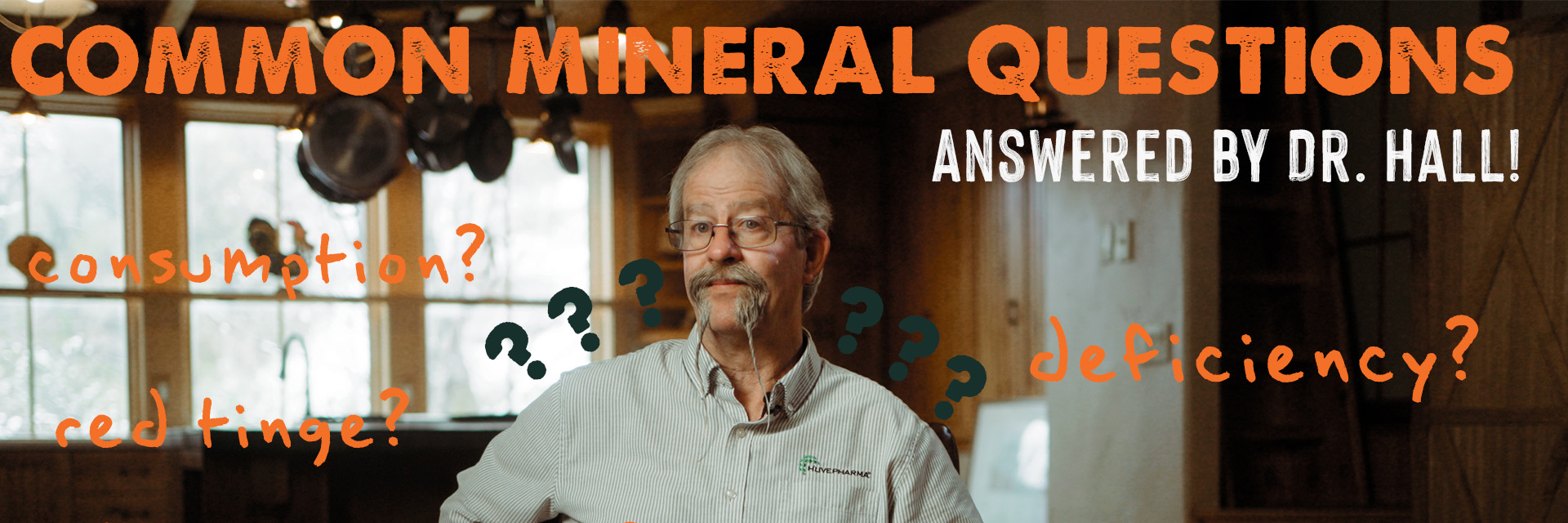 Questions With Dr Hall blog thumbnail