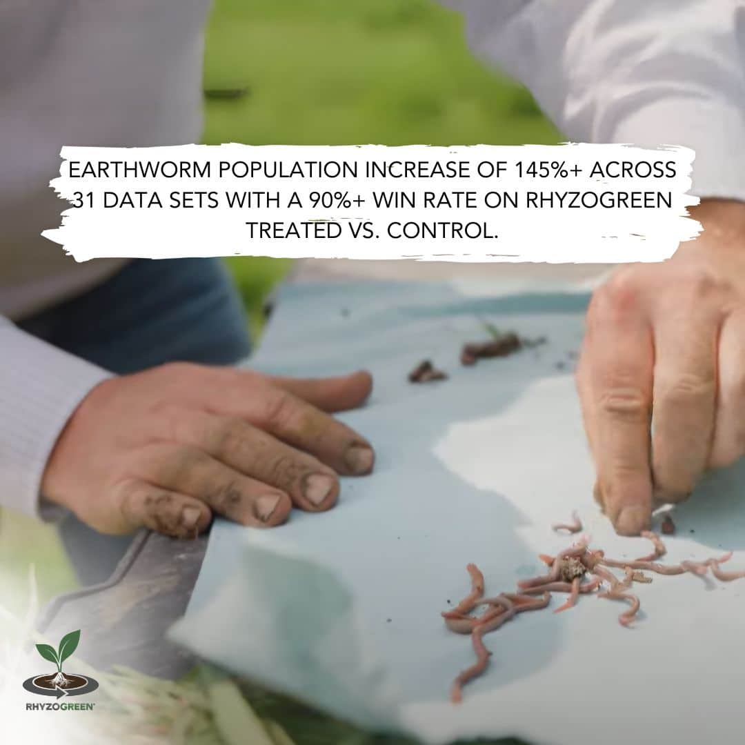 Earthworms