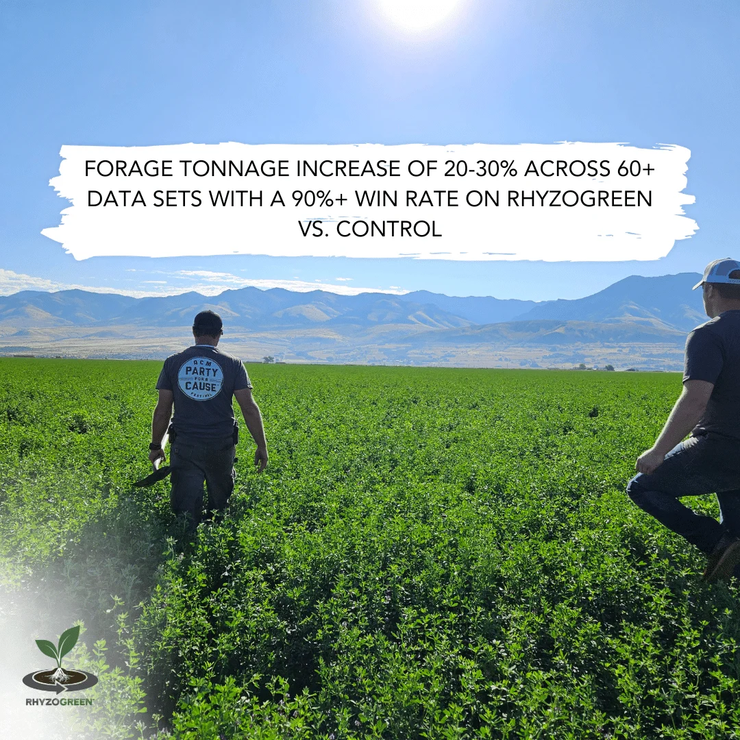 Tonnage 2