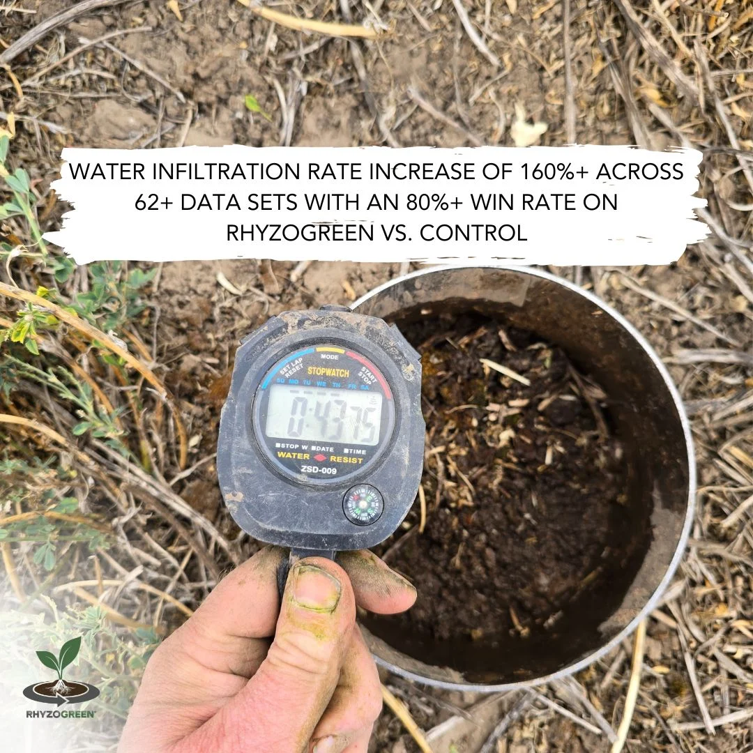 Water Infiltration