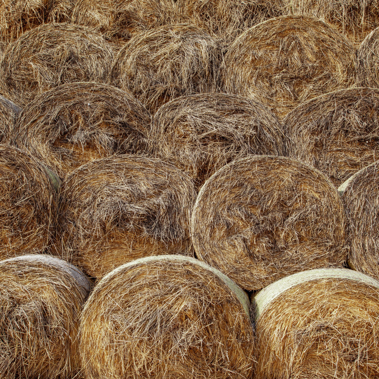 Hay stock for livestock farming for the winter