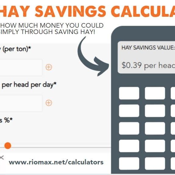 Oct_Hay Savings Calculator