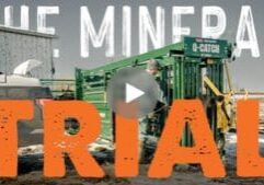 the mineral trial